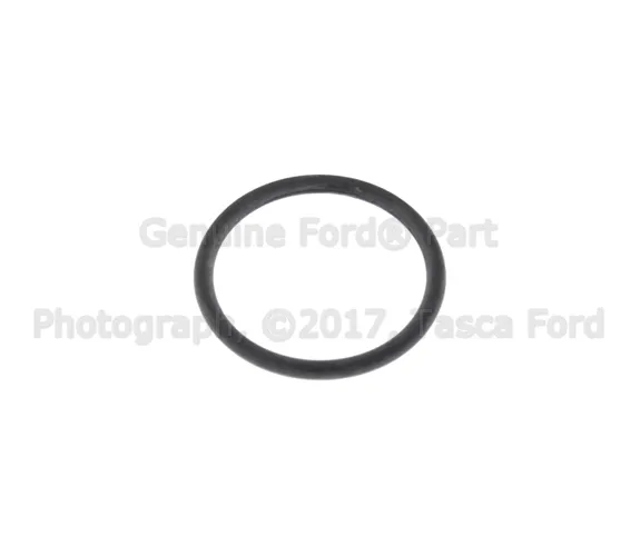 Engine Coolant Pipe O-Ring - Ford (-391552-S)