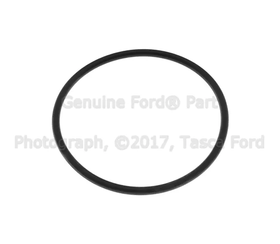 Engine Water Pump Gasket - Ford (-W702259-S300)