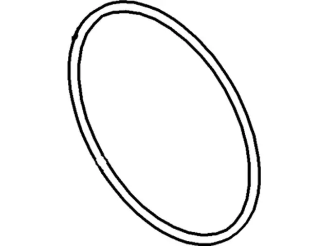 Engine Water Pump Gasket - Ford (-W702259-S300) - view 3