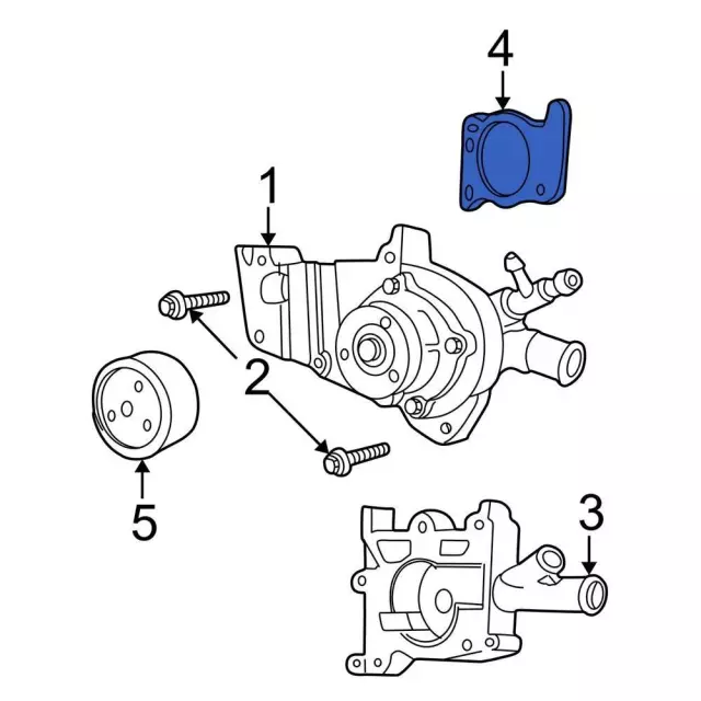 Engine Water Pump Gasket - Ford (-W702259-S300) - view 5