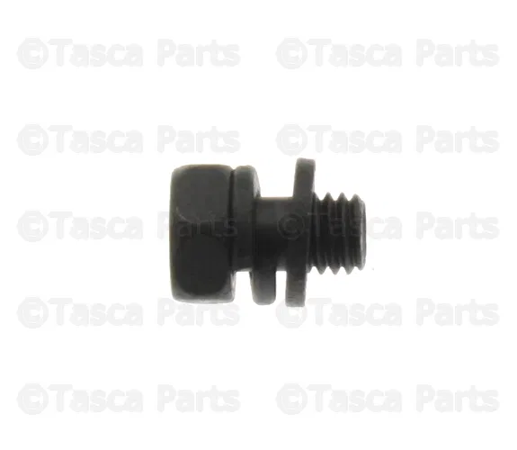 Fuel Pump Assembly Screw - Nissan (01436-01821)