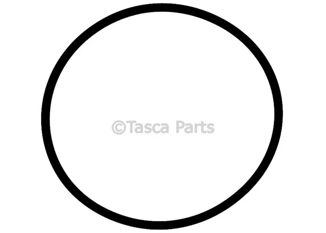 Fuel Tank Sending Unit O-Ring - GM (10282861)