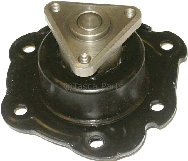 Water Pump Kit - GM (12494006)