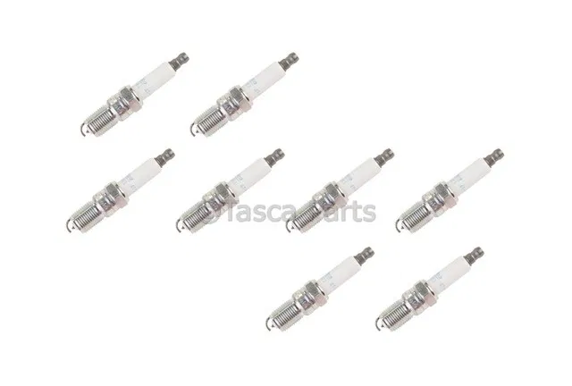 Double Platinum Spark Plug - GM (12556183)