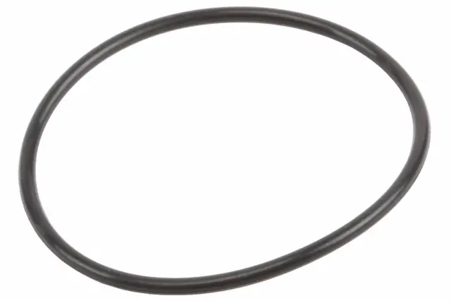 Engine Coolant Seal - GM (12561155)