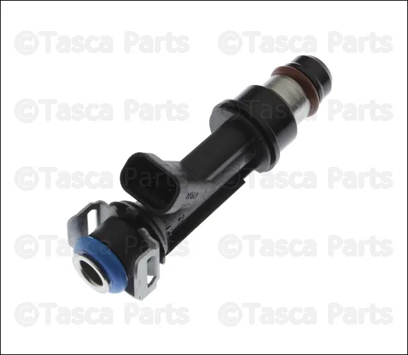 Multi-Port Fuel Injector Assembly - GM (12599025)