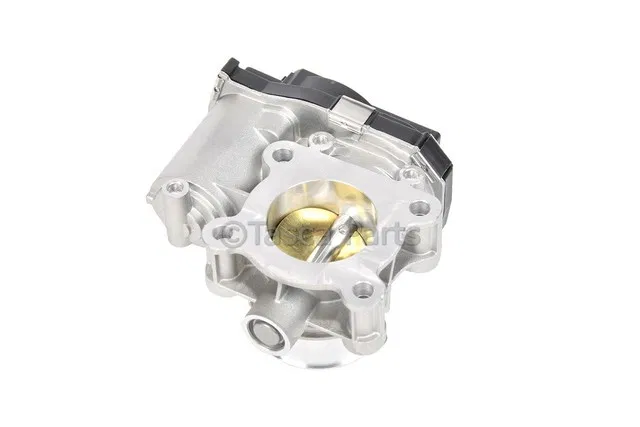 Throttle Body - GM (12704589)