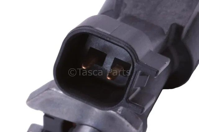Fuel Injector - GM (12720120)