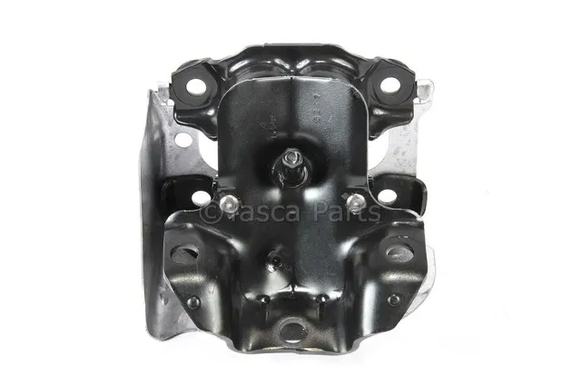 Driver Side Engine Mount - ACDelco (15829207) - view 5