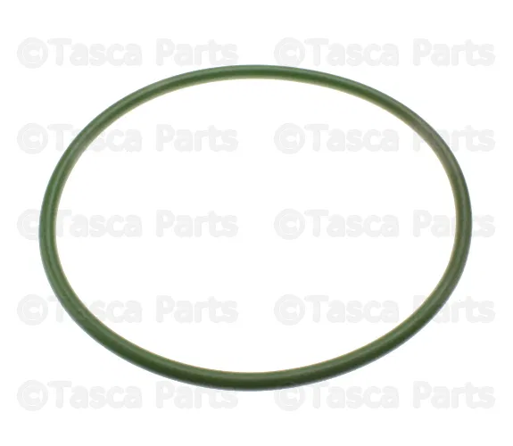 Fuel Pump Tank Seal - Nissan (17342-EM30A)