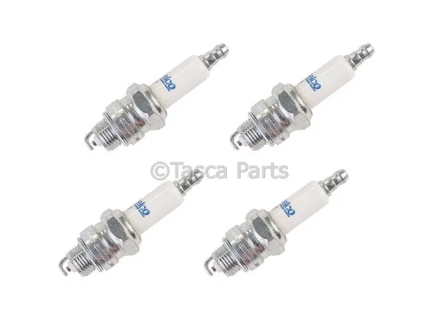Spark Plug - GM (19360569)