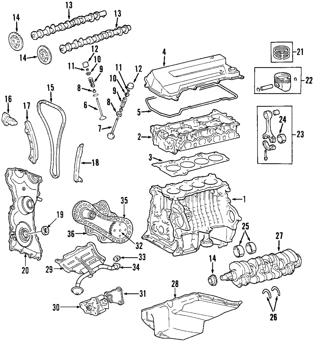 Crankshaft Gear - Mazda (1f2011316)