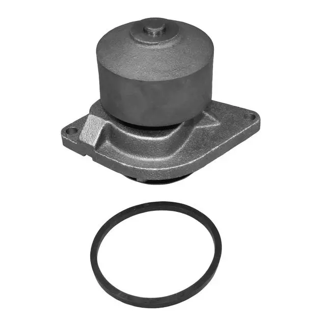 Engine Water Pump - ACDelco (252-318)