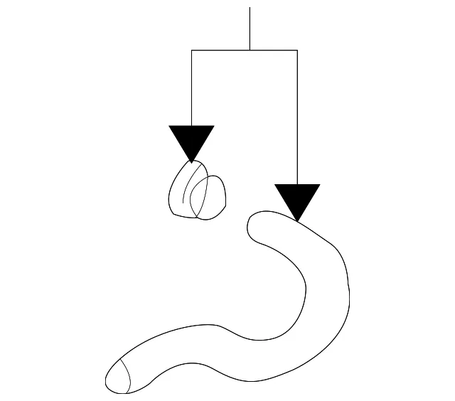 Engine Coolant Hose - Kia (25469-37201)