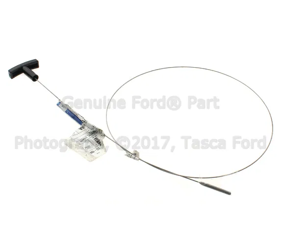 Engine Oil Dipstick - Ford (3C3Z-6750-AA)