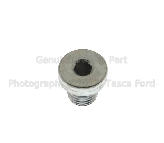 Plug Engine - Ford (3C3Z-9K042-AA)