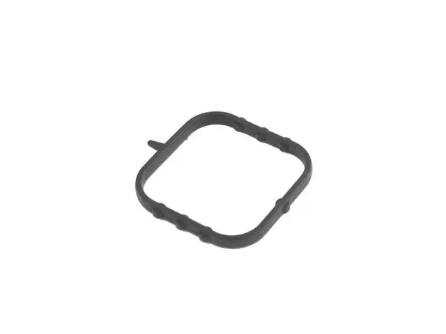 Water Pump Gasket - Mopar (4893666aa)