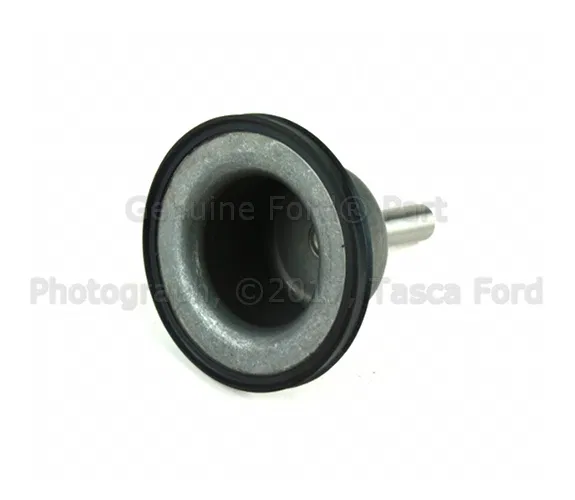 Piston Low Reverse Servo - Ford (4L2Z-7D189-AA)