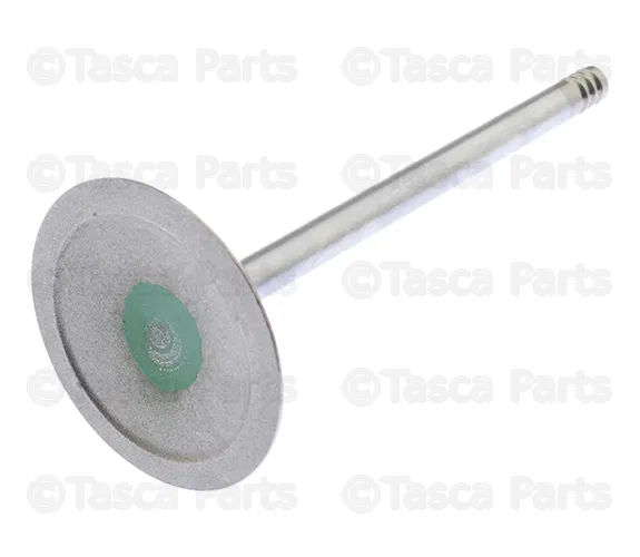 Engine Intake Valve, Right, Cylinder Head - Mopar (5045487AD)