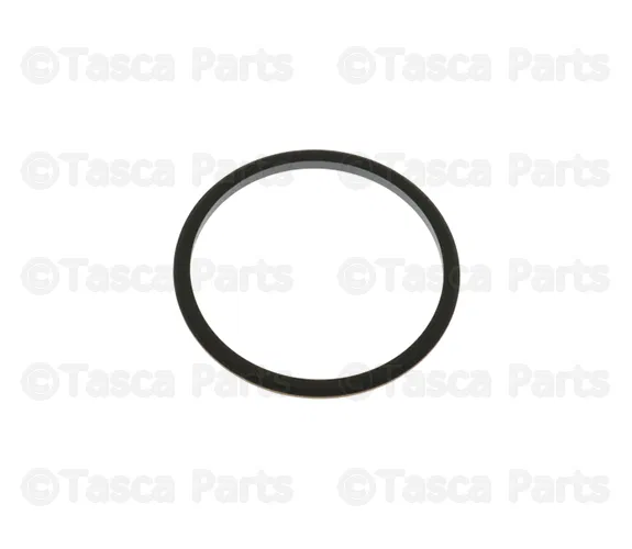 Fuel Injection Pump O Ring - Mopar (5086763AA)