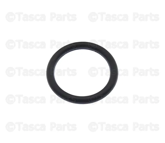 Engine Coolant Pipe O-Ring - GM (55354068)