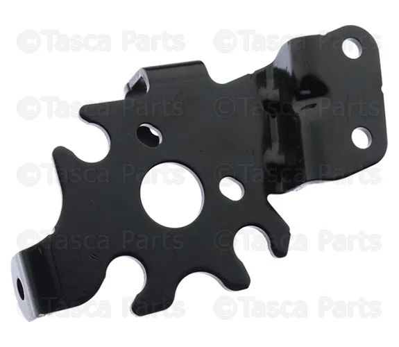 Vapor Canister Purge Pump Bracket - GM (55501918)