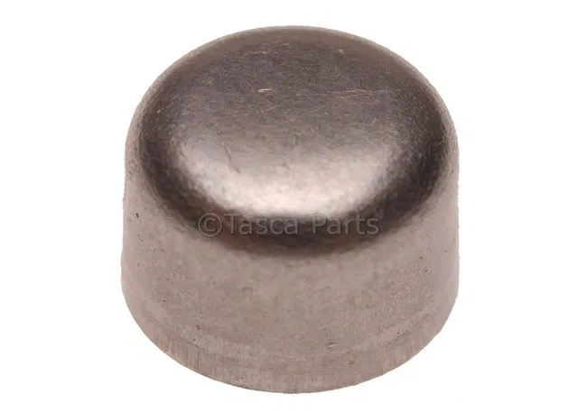 Automatic Transmission Park Pawl Shaft Hole Plug - GM (8620318)