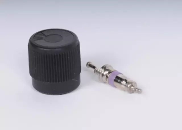 Fuel Injection Fuel Pressure Service Kit with Valve and Cap - GM (89060523)