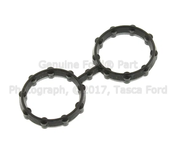 Engine Oil Cooler Gasket - Ford (8C3Z-6619-D)