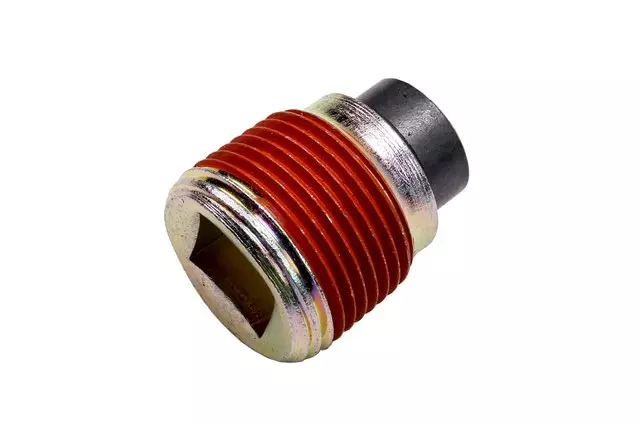 Manual Transmission Oil Drain Plug - GM (93256411)