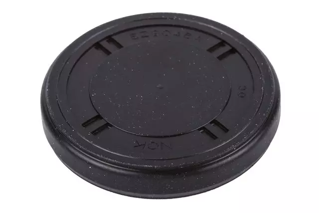 Transfer Case Input Shaft Bore Plug - GM (97238725)
