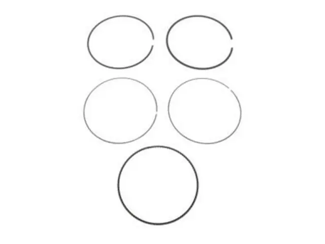 Engine Piston Ring - Ford (AG9Z-6148-D) - view 4