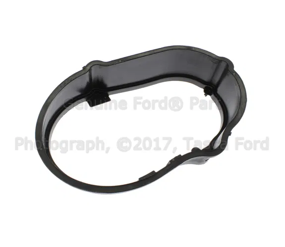 Fuel Filler Housing Seal - Ford (BB5Z-7828067-A)