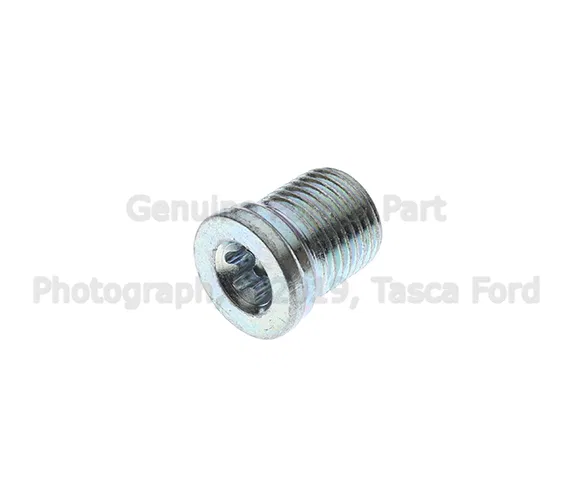 Differential Drain Plug - Ford (CV6Z-7A010-A)