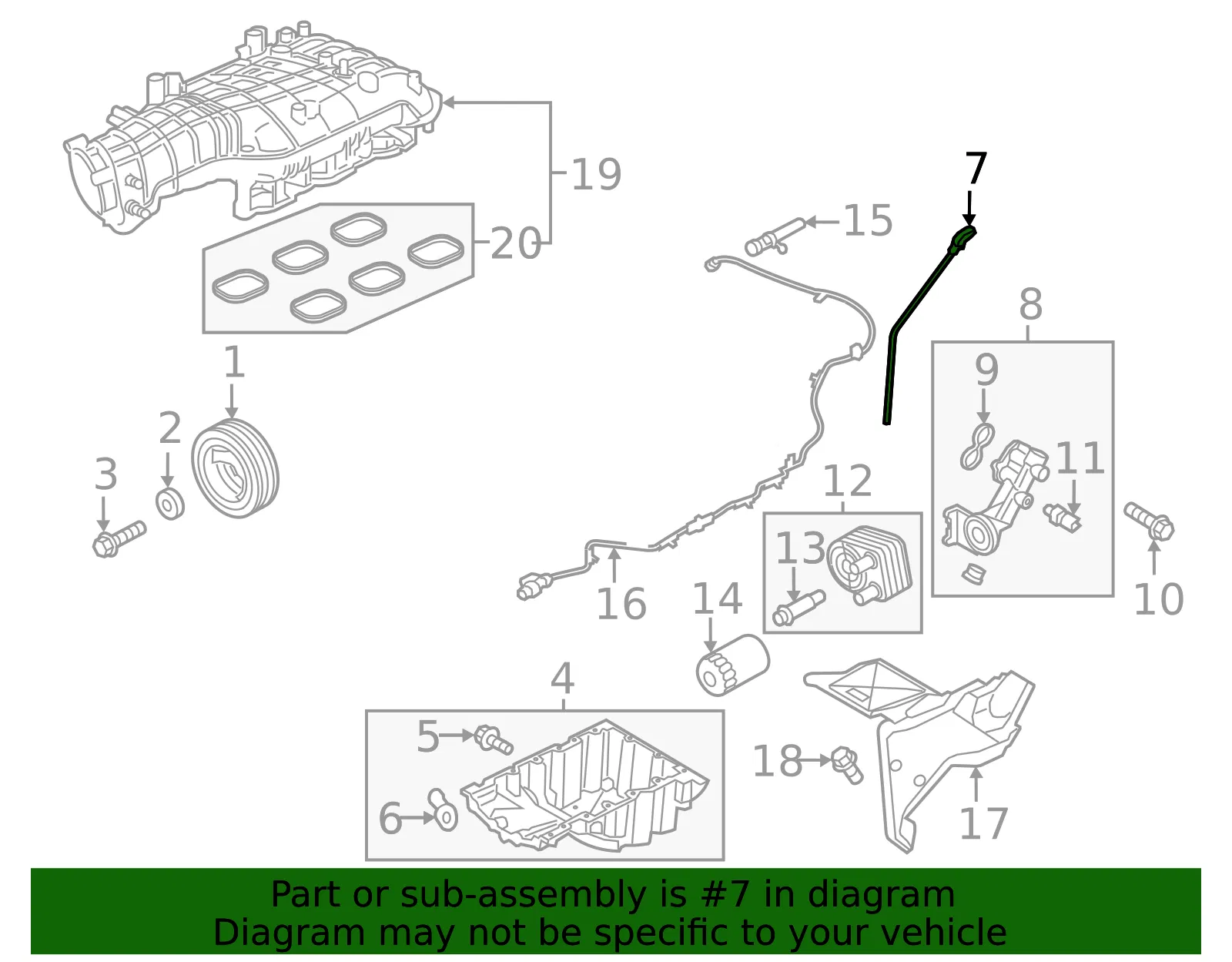 Engine Oil Dipstick - Ford (HL3Z-6750-B) - view 8