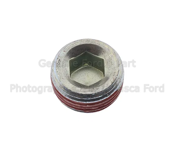 Plug Engine - Ford (W701516S901)