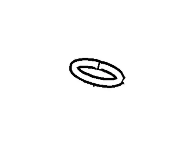 Automatic Transmission Dipstick Tube O-Ring - Ford (W714078S300) - view 3