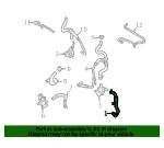 Engine Coolant Overflow Hose - Ford (l1mz8a577b) - view 7