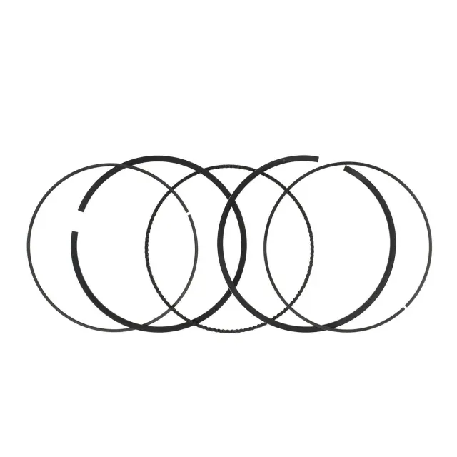 Engine Piston Ring - Ford (ml3z6148a)