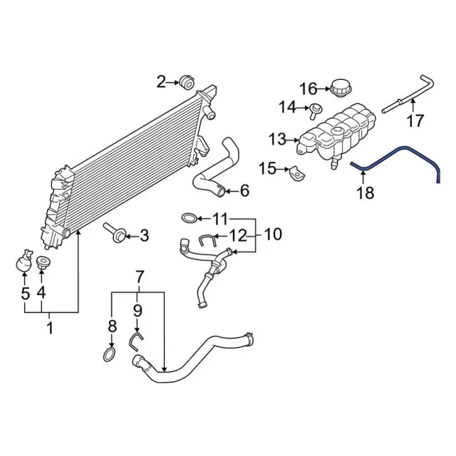 Engine Coolant Overflow Hose - Ford (ml3z8063c)