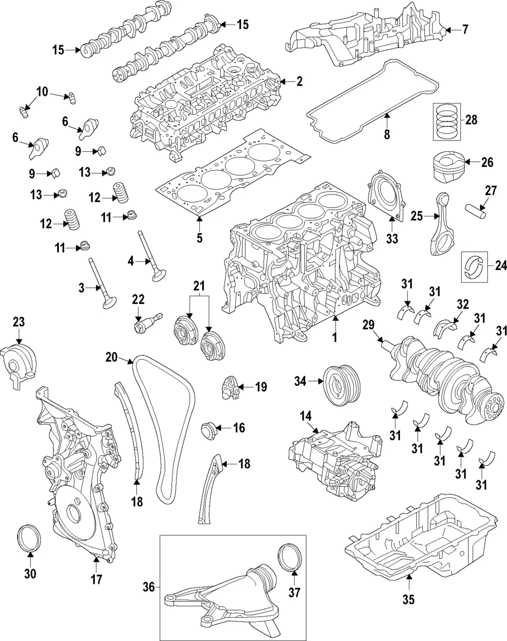 Engine Timing Chain - Ford (pb5z6268a) - view 2