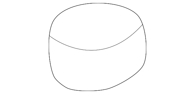 Fuel Pump Seal - Mazda (zl0113ze5)